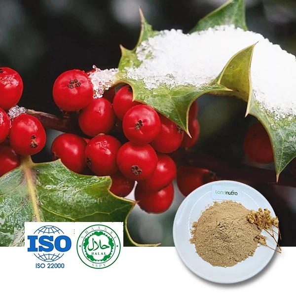 Mistletoe Extract Powder